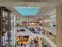 100 Am (D2), Retail #622076201